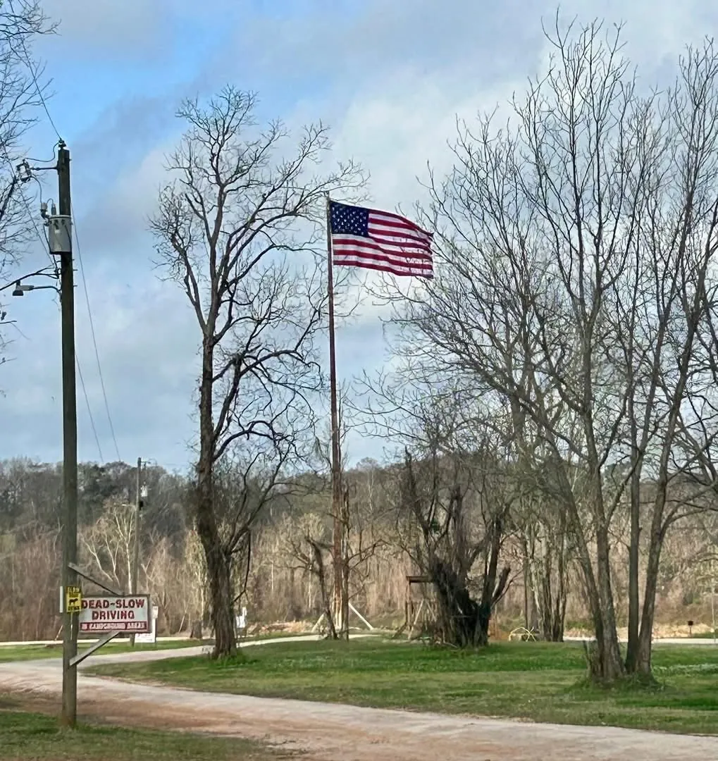 American flag flying near the park road at River Island RV Park